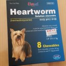 솔잎약국 이미지