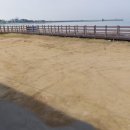 궁평항 | 경기 근교 차박 성지 궁평항 차박 솔직후기(위치, 화장실, 요금, 이용방법)
