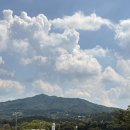 모남리염소마을 이미지