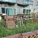 서호동-49 이미지