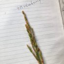 이삭농약사 이미지