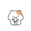 부자슈퍼 네이버블로그