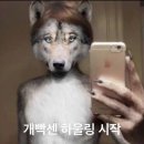 영신목장 | 오월 끝이다여