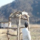 기대리선애빌 이미지