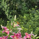 청인행정사사무소 이미지