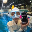 렙업 | 따끈 신설 프리다이빙 센터 후기