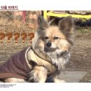 부장목장 이미지