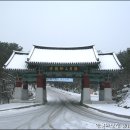 서해여관 티스토리
