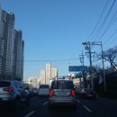 구주령 산채농원 | 구주령 산나물이 택배로 도착했어요