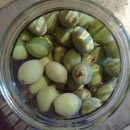 골짜구니농장1 이미지