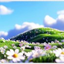 제이와이성형외과의원 이미지