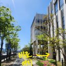 나라키움 익산통합청사 | [서구 동천동] 내돈내산- 거지맵에도 등록한 가성비 구내식당 '나라키움 광주통합청사(통계청)구내식당'