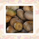 가볍게먹는곳 | 병문안 선물 환자 가볍게 먹는 호박즙 전한 후기