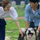 오로라 공주