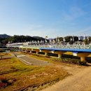 토요시장 이미지