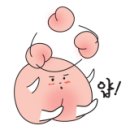 돈까스와김치찌개 이미지