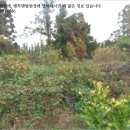 도순주유소 이미지