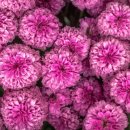 연세자연내과의원 이미지