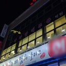 천안라라발레 왕초보 한 달 후기 성인 취미 발레학원 (feat. 15기 옥순)