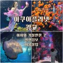 포레스토리유아숲생태체험원 | 광교 실내놀거리 끝판왕, 아이와 가기 좋은 광교 아쿠아플라넷 (이용꿀팁·할인·추천코스)
