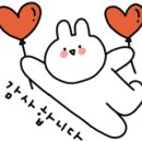 더리얼복싱짐 이미지