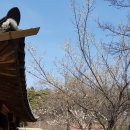 운파고택 이미지