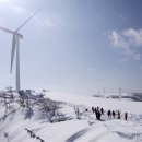 이&장 목장 이미지