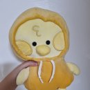 서아공방 이미지