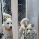 김태희공인중개사사무소 이미지