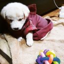 신한동물병원 이미지