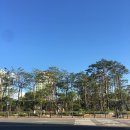 HOLYMOLY WEEKLY RECORD 20180910-20180916