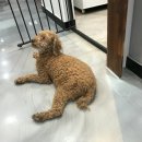 굿:카페원주 이미지
