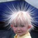 나무안에서 이미지