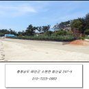 필스톤 | 태안펜션추천 필스톤 솔직후기 - 태안독채펜션