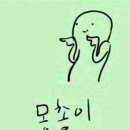 카페물멍