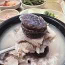강원오가피돼지국밥