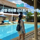 발리 여행 준비물 리스트 입국 서류, 예약 알아보기