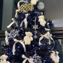 Gym212 | [Road To Competition] E07. 하체운동이 좋아졌어요(feat. Gym212 PT 후기)