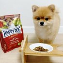 대한사료(주) | 저알러지 사료 해피독 토스카나 미니 저칼로리 체중조절