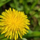 대지의 비상 이미지