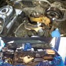 (주)완정탑모터스 이미지