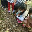 본아미어린이집 이미지