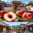 복숭아 공짜 시식까지! 고물가 시대 짠테크 성지 서울동행상회 팝업 오픈런 꿀팁 (feat. 사찰음식 체험)