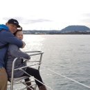 (주)김녕요트투어 이미지