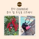 뉴스팝스 | [호신용품 리뷰] 아내의 안전을 위해 선택한 ‘쏜다 팝 호신용 스프레이’ 솔직 사용 후기