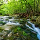 도림사계곡 이미지