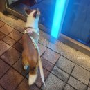 김비타약국 이미지