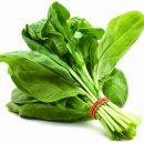 린나이가스기구 중앙점 이미지