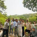 무주읍213 이미지