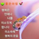 (주)아리한 이미지